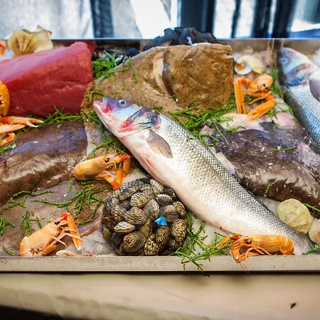 Szálloda Boutique Adria Wels