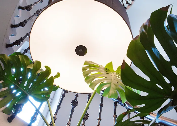 Boutique Adria Hotel Wels